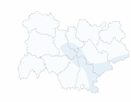 Infection respiratoire aiguë (IRA)