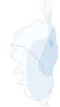 Infection respiratoire aiguë (IRA)