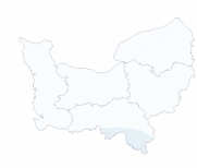 Infection respiratoire aiguë (IRA)