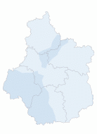 Infection respiratoire aiguë (IRA)