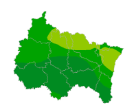 Infection respiratoire aiguë (IRA)