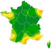 Carte Diarrhée aiguë