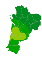 Infection respiratoire aiguë (IRA)