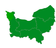 Infection respiratoire aiguë (IRA)