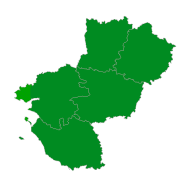 Infection respiratoire aiguë (IRA)