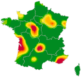 Carte Varicelle