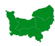 Infection respiratoire aiguë (IRA)