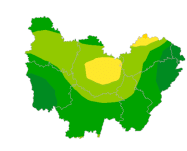 Infection respiratoire aiguë (IRA)