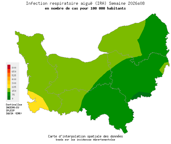 Semaine 202608 - Infection respiratoire aiguë (IRA) - Activité faible en Normandie